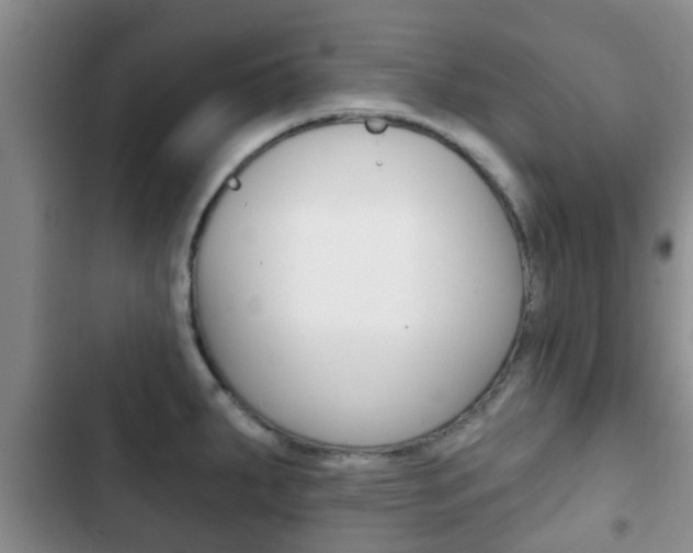 X0000102771287200808180947