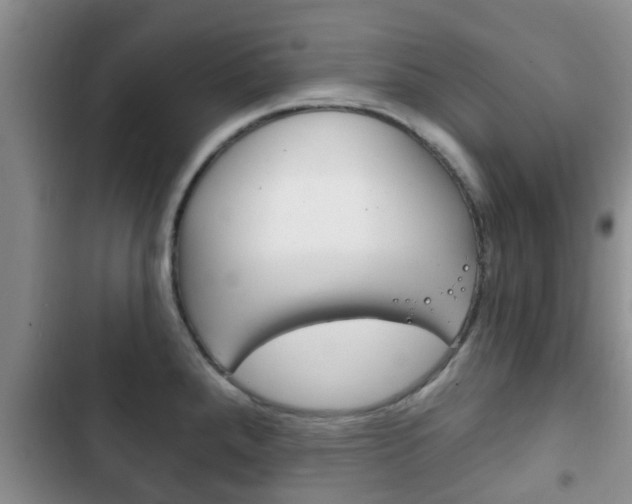 X0000102771288200808180946