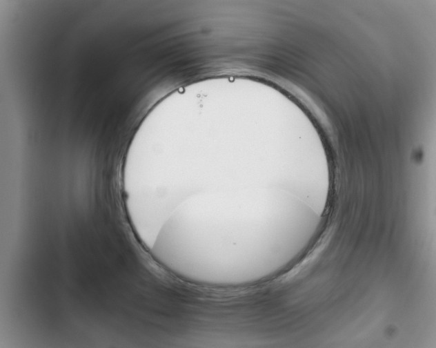 X0000102771289200808180946