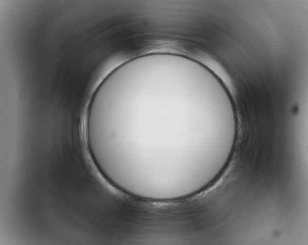 X0000102771290200808180946