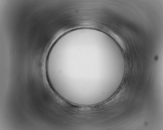 X0000102771291200808180946