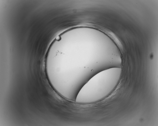 X0000102771292200808180946
