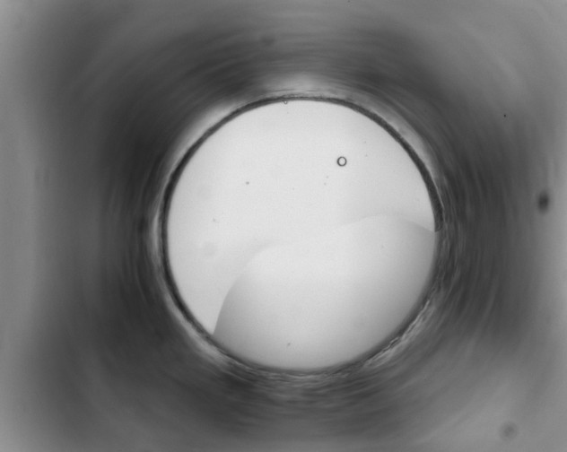 X0000102771293200808180946