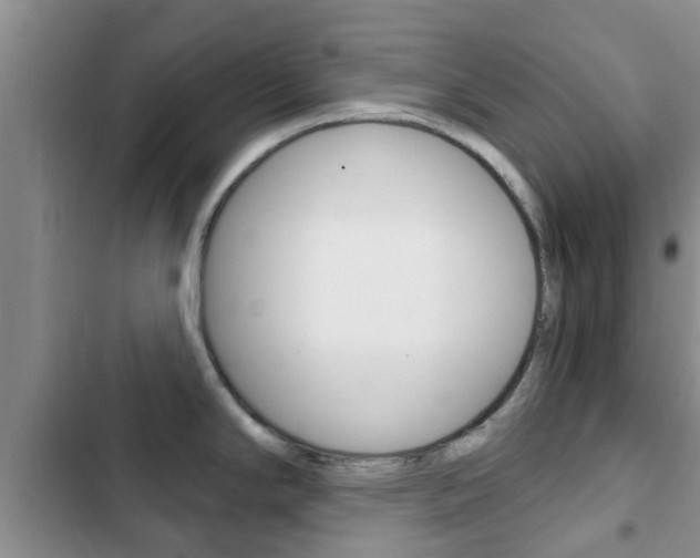 X0000102771294200808180946