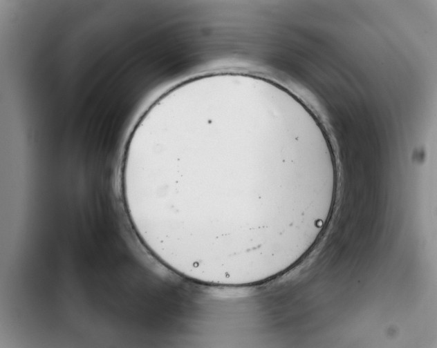 X0000102771296200808180946