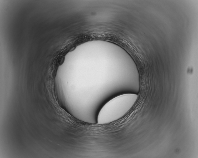 X0000102771297200808180946