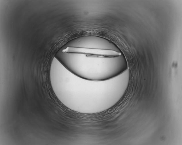 X0000102771298200808180946