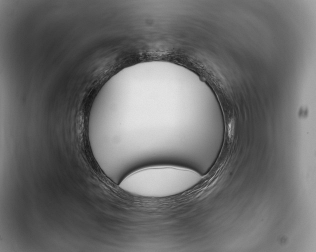 X0000102771299200808180946