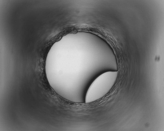 X0000102771301200808180946