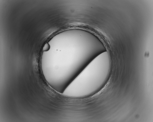 X0000102771305200808180946