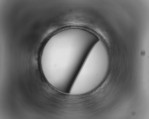 X0000102771307200808180946