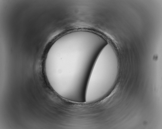 X0000102771309200808180946