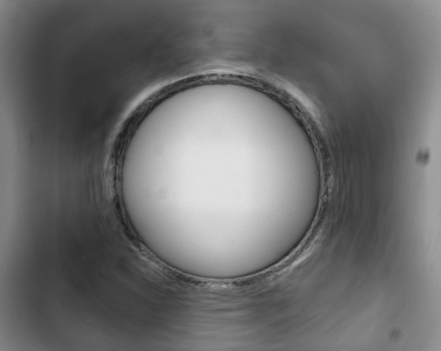 X0000102771310200808180946