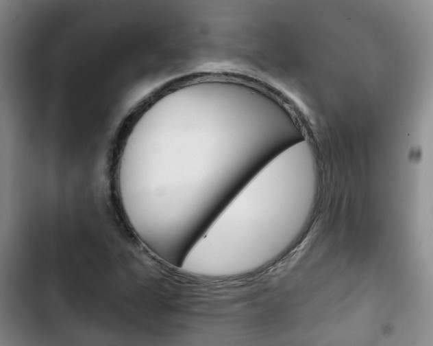X0000102771311200808180946