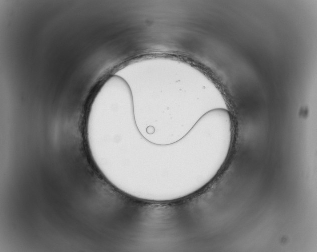 X0000102771314200808180946