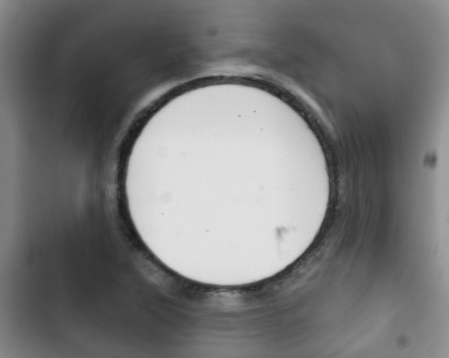X0000102771315200808180946
