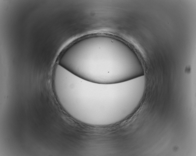X0000102771316200808180946