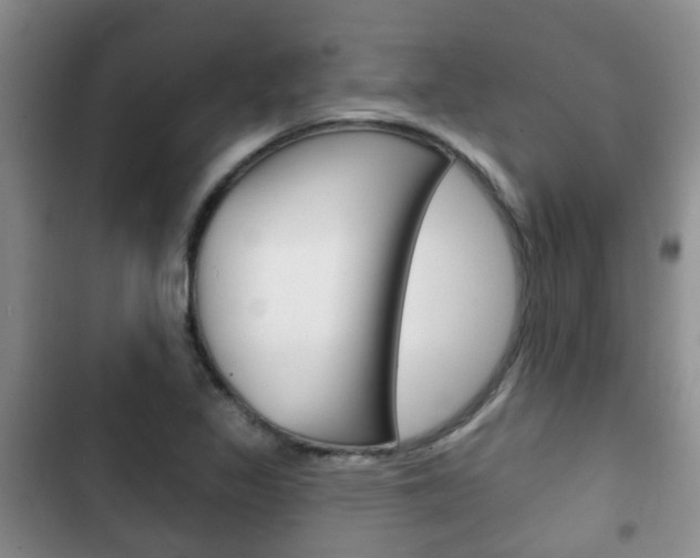 X0000102771317200808180946
