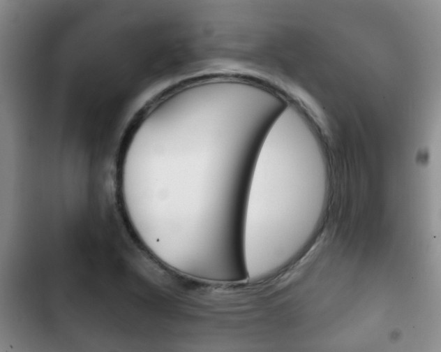 X0000102771318200808180946