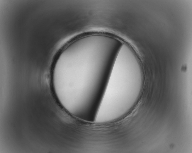 X0000102771319200808180946