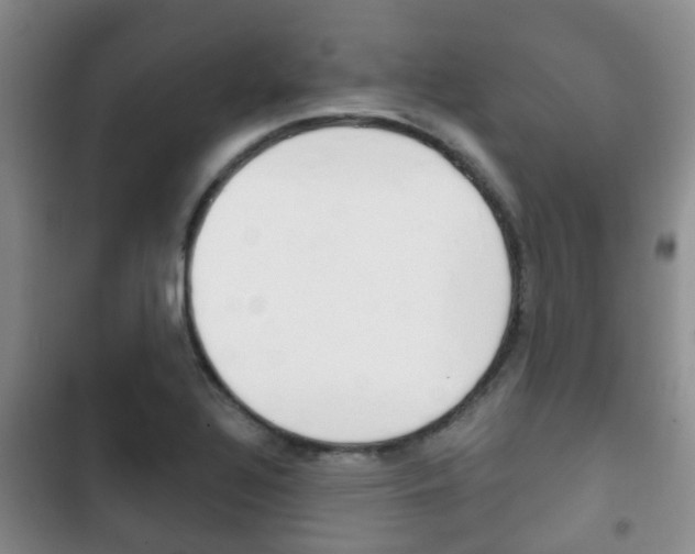 X0000102771320200808180946