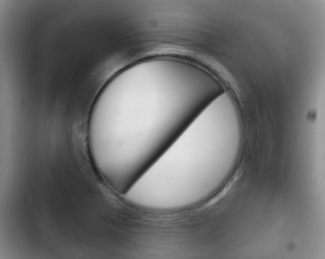 X0000102771321200808180946