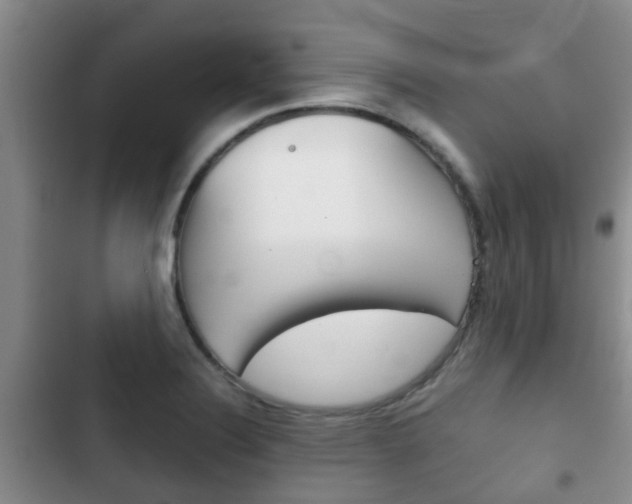 X0000102771324200808180946