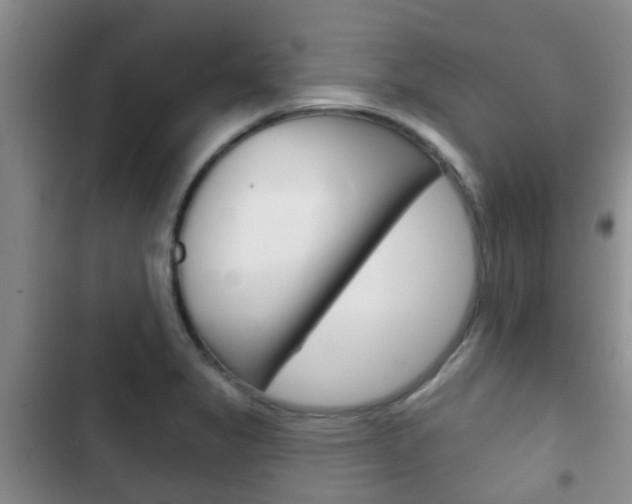 X0000102771325200808180946