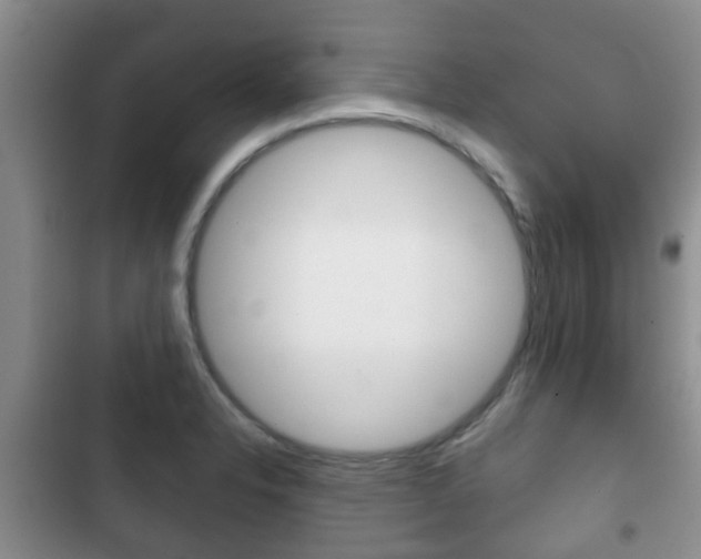 X0000102771326200808180946