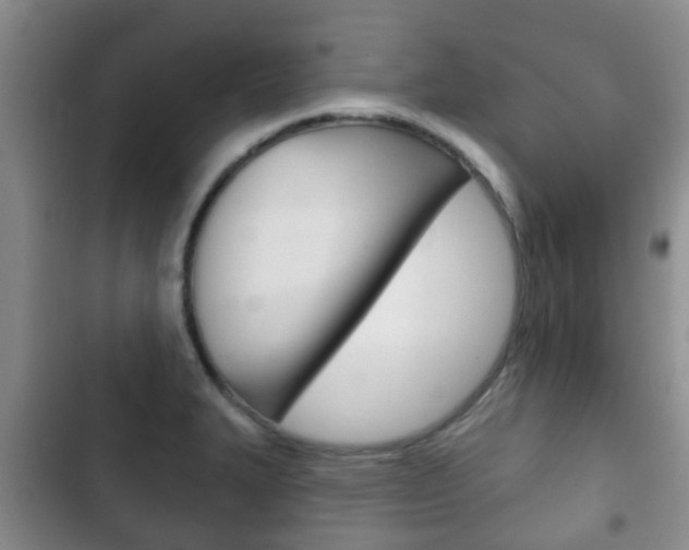 X0000102771327200808180946