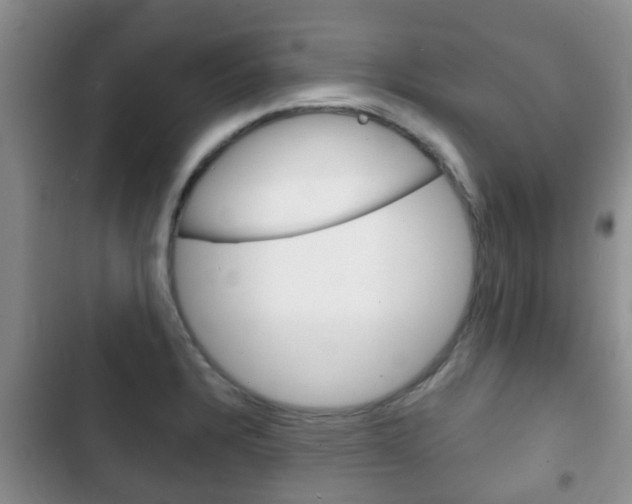 X0000102771328200808180946