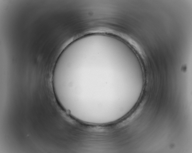 X0000102771329200808180946