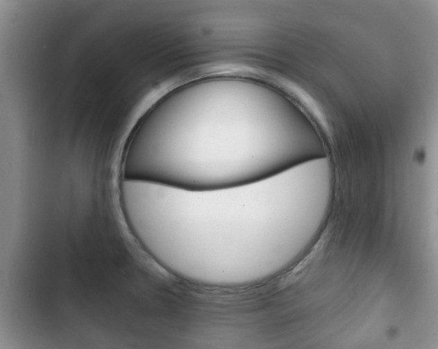 X0000102771330200808180946