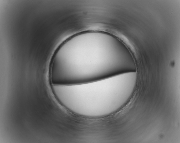 X0000102771331200808180946