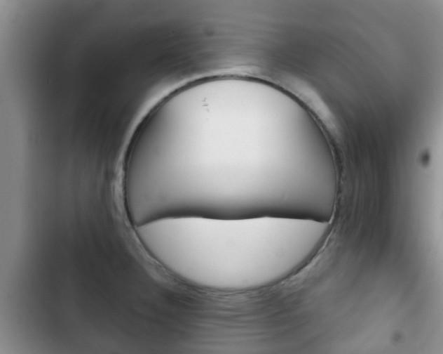 X0000102771332200808180946