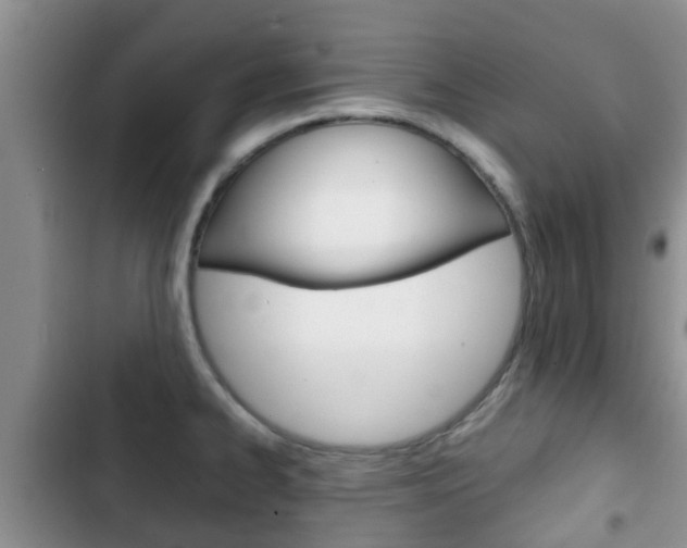 X0000102771334200808180946
