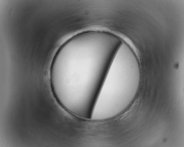 X0000102771335200808180946
