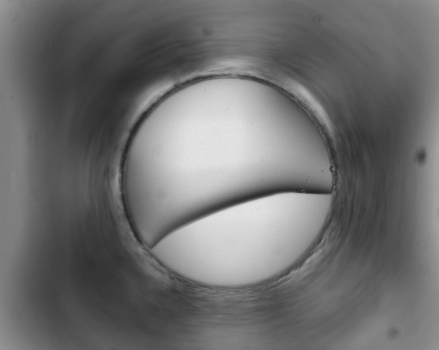 X0000102771336200808180946