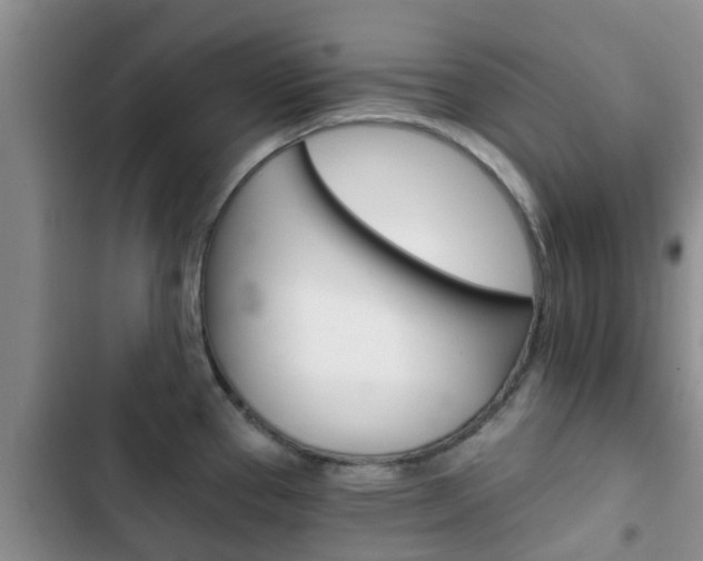 X0000102771337200808180946