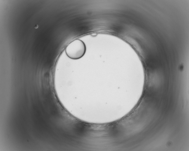 X0000102771338200808180946
