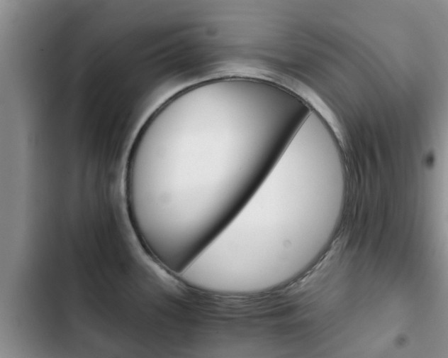 X0000102771339200808180946
