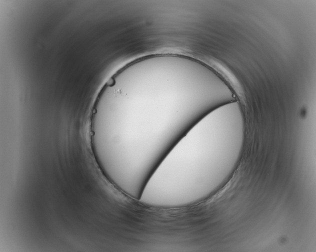 X0000102771340200808180946