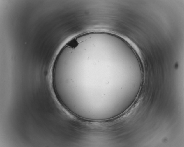 X0000102771341200808180946