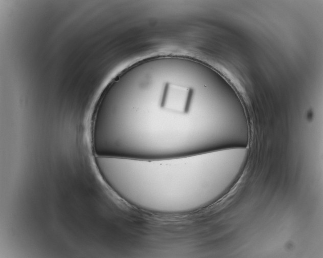 X0000102771342200808180946