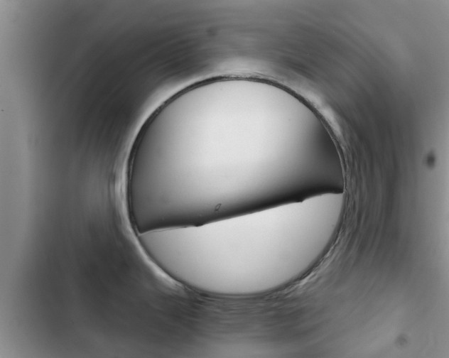 X0000102771343200808180946