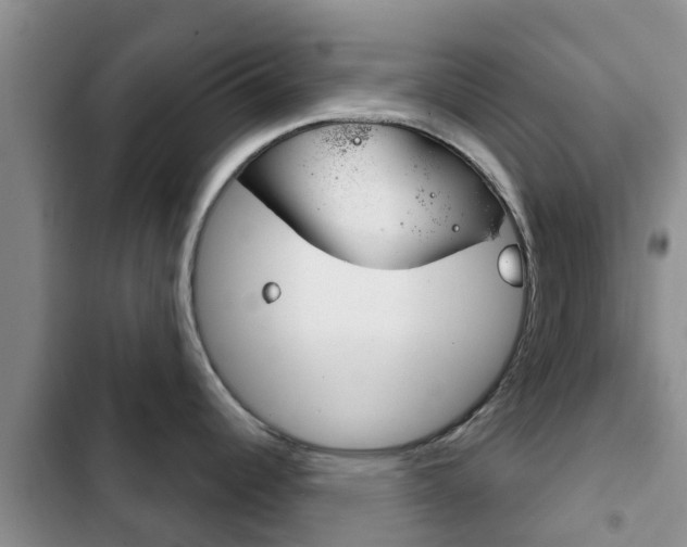X0000102771344200808180946
