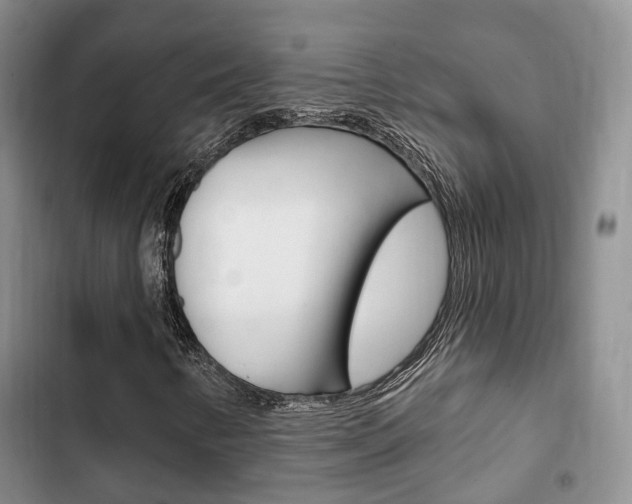 X0000102771346200808180946