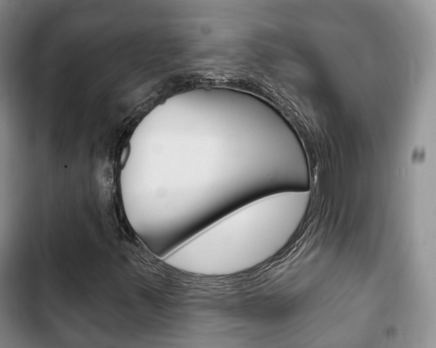 X0000102771347200808180946