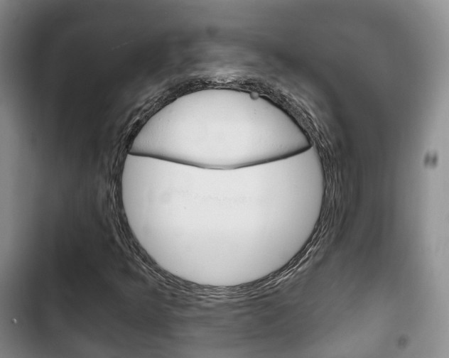 X0000102771349200808180945