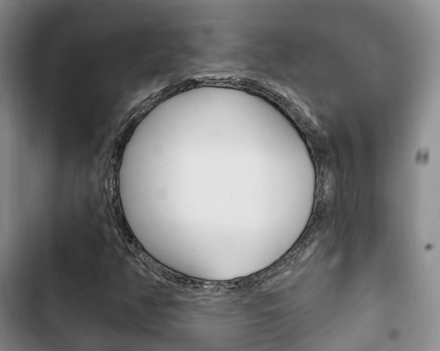 X0000102771350200808180945